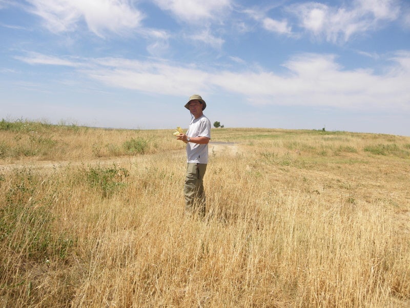中央アジアで野生オオムギを収集する佐藤和広教授
