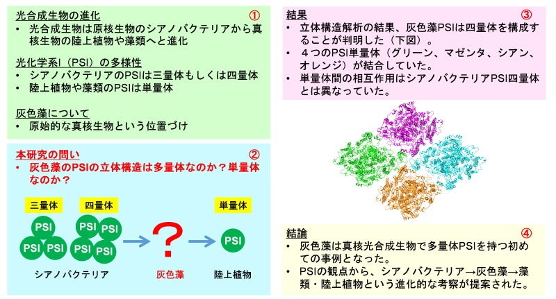 本研究のポイントを一つのスライドにまとめました。右上に番号が①～④と振ってありますので、その流れでご覧ください