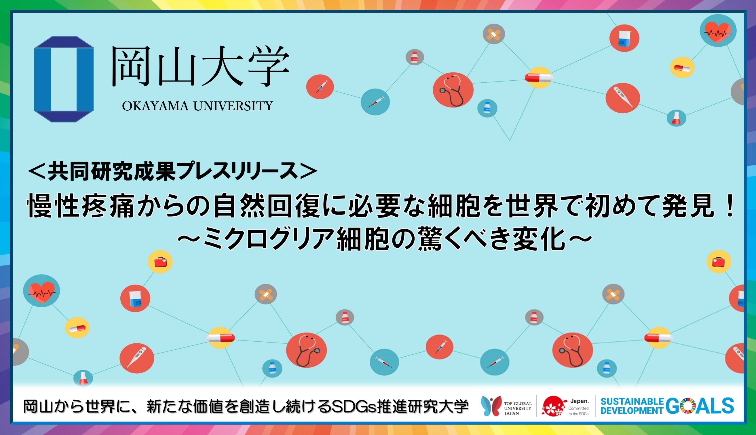 岡山大学 慢性疼痛からの自然回復に必要な細胞を世界で初めて発見 ミクログリア細胞の驚くべき変化 国立大学法人岡山大学のプレスリリース