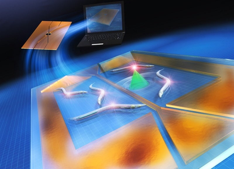 図2. 研究のイメージ図