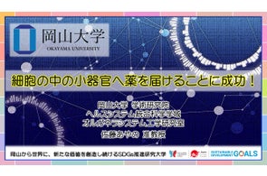 【岡山大学】細胞の中の小器官へ薬を届けることに成功!