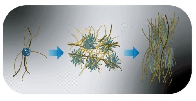 骨形成、配向化プロセスにおける無機／有機の自己組織化を支配する要素を多階層で解明、再現