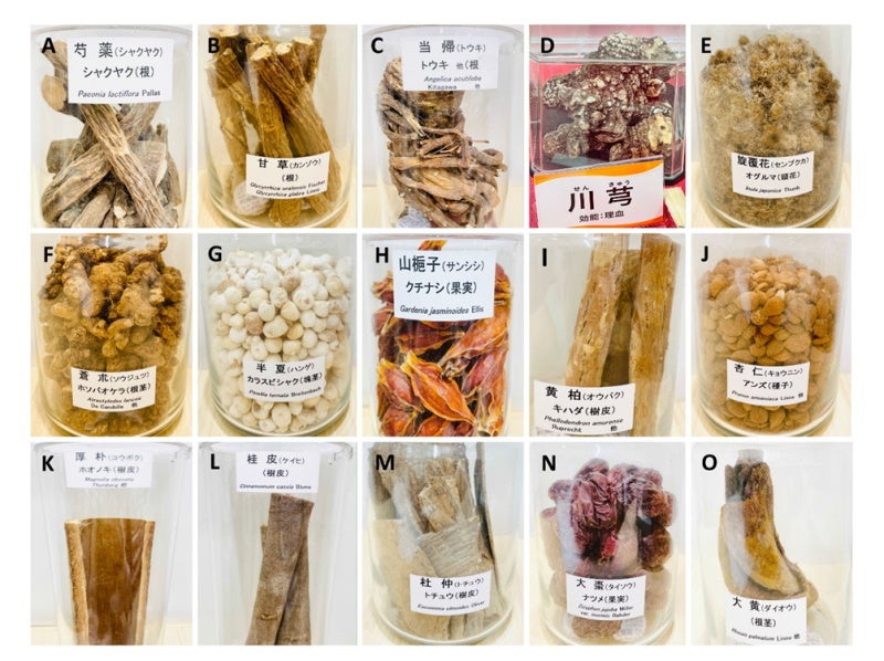 図1. 日本の薬局で売られている漢方薬に含まれる素材の一例(岡山市北区のイオン薬局のご厚意による)