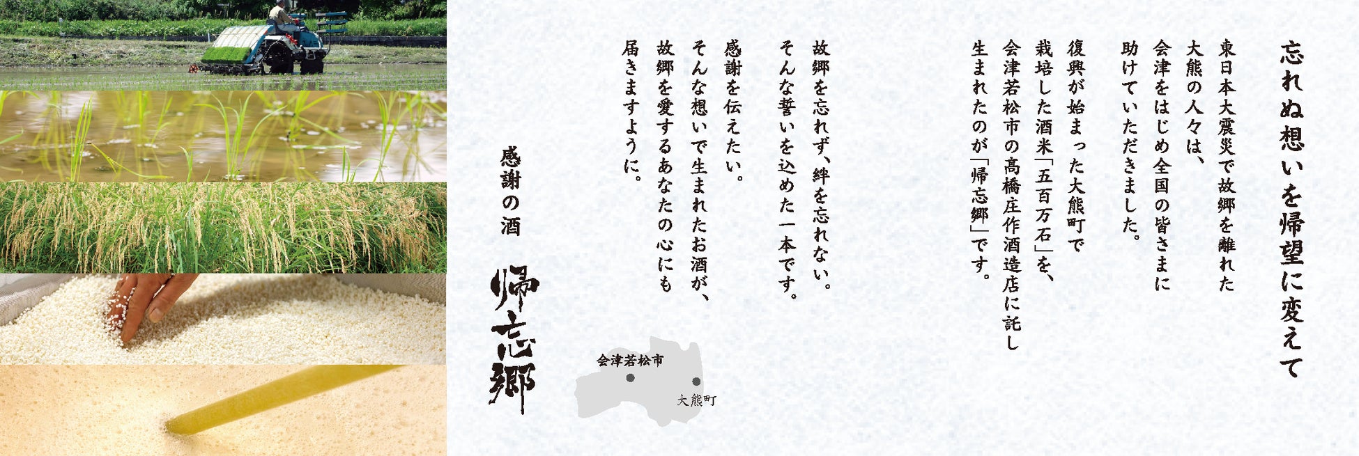 パンフレット中面