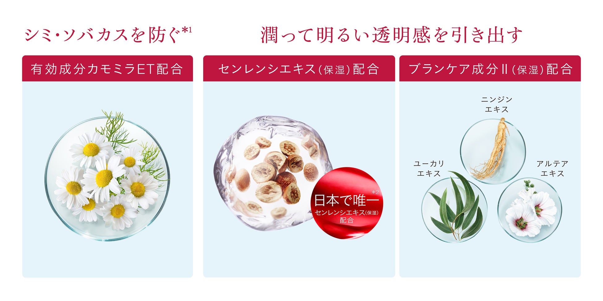 ※画像はイメージです