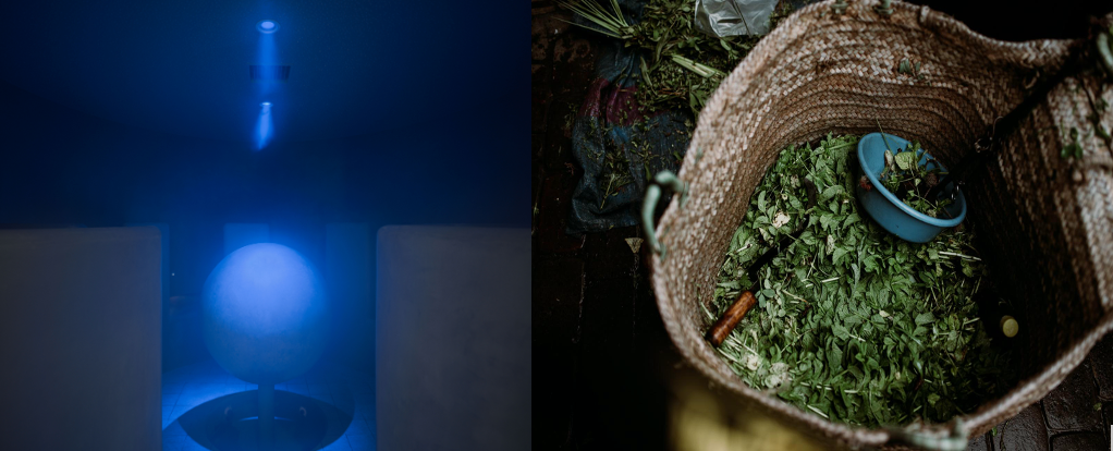 ハーバルスチームサウナTERRA