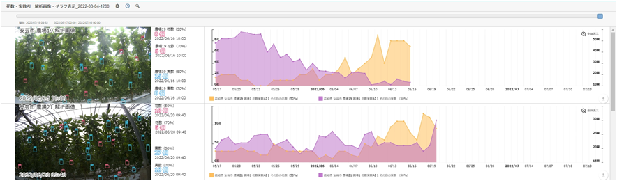 画像からの花数・実数の自動集計