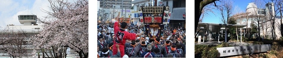 （写真右から）市役所本庁舎と桜、上溝夏祭り、市立博物館