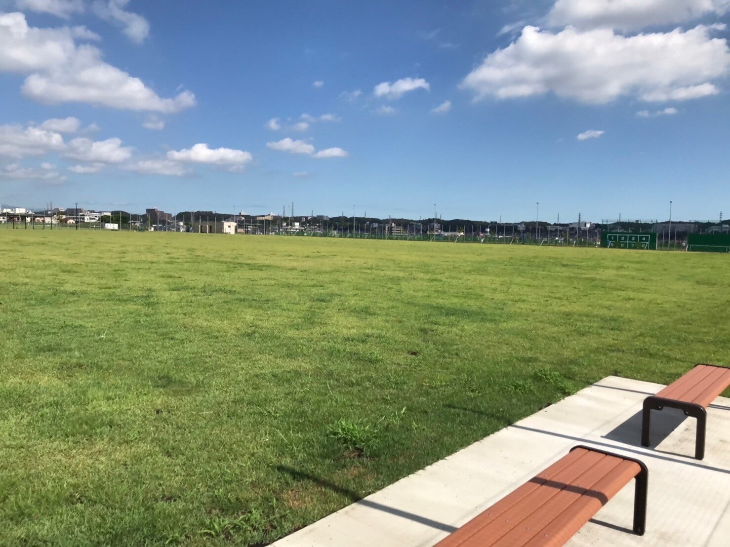 ボール遊び広場（芝生エリア）