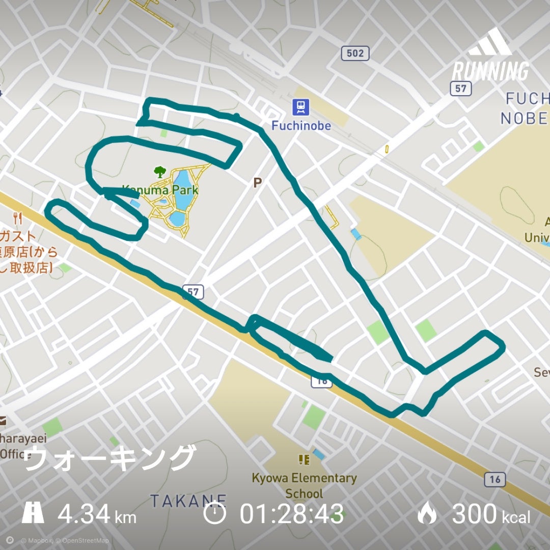 アプリで描く地上絵（例）