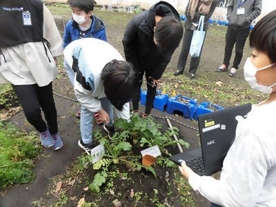 収穫体験の様子