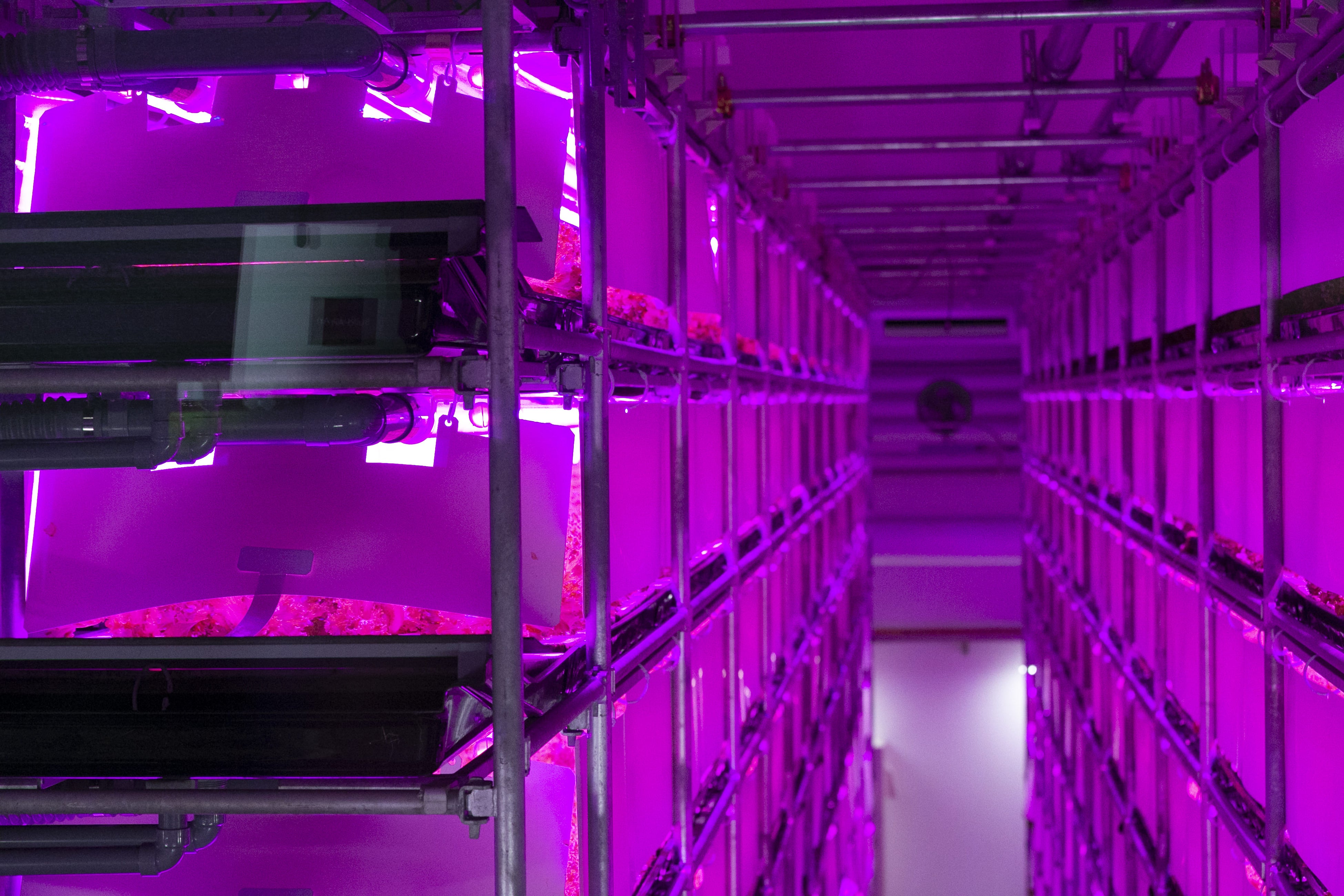 地元産木材を使って建設された工場