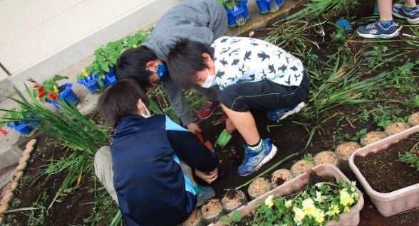 学年園で種を植える児童たち