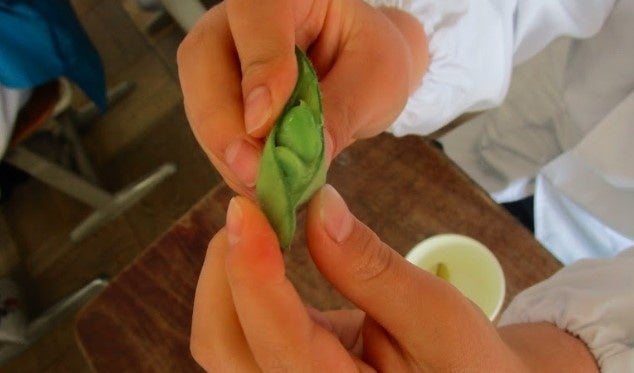 みんなで枝豆食べたよ！