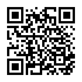 市HP（スポット募集）