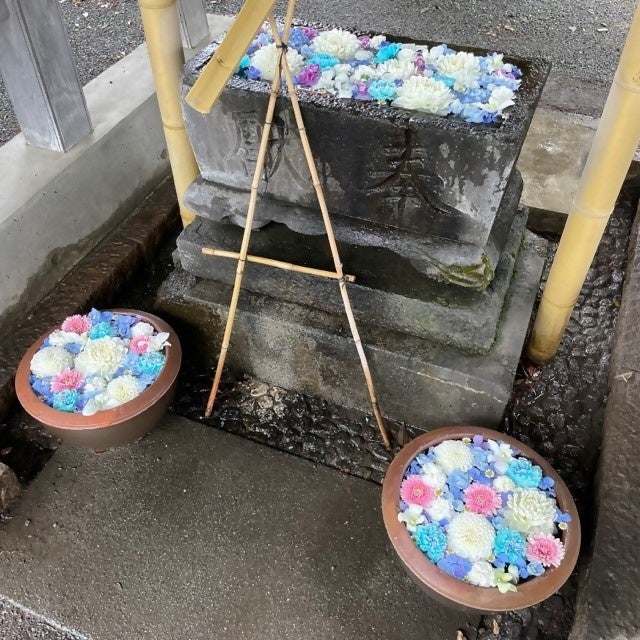 氷川神社での様子