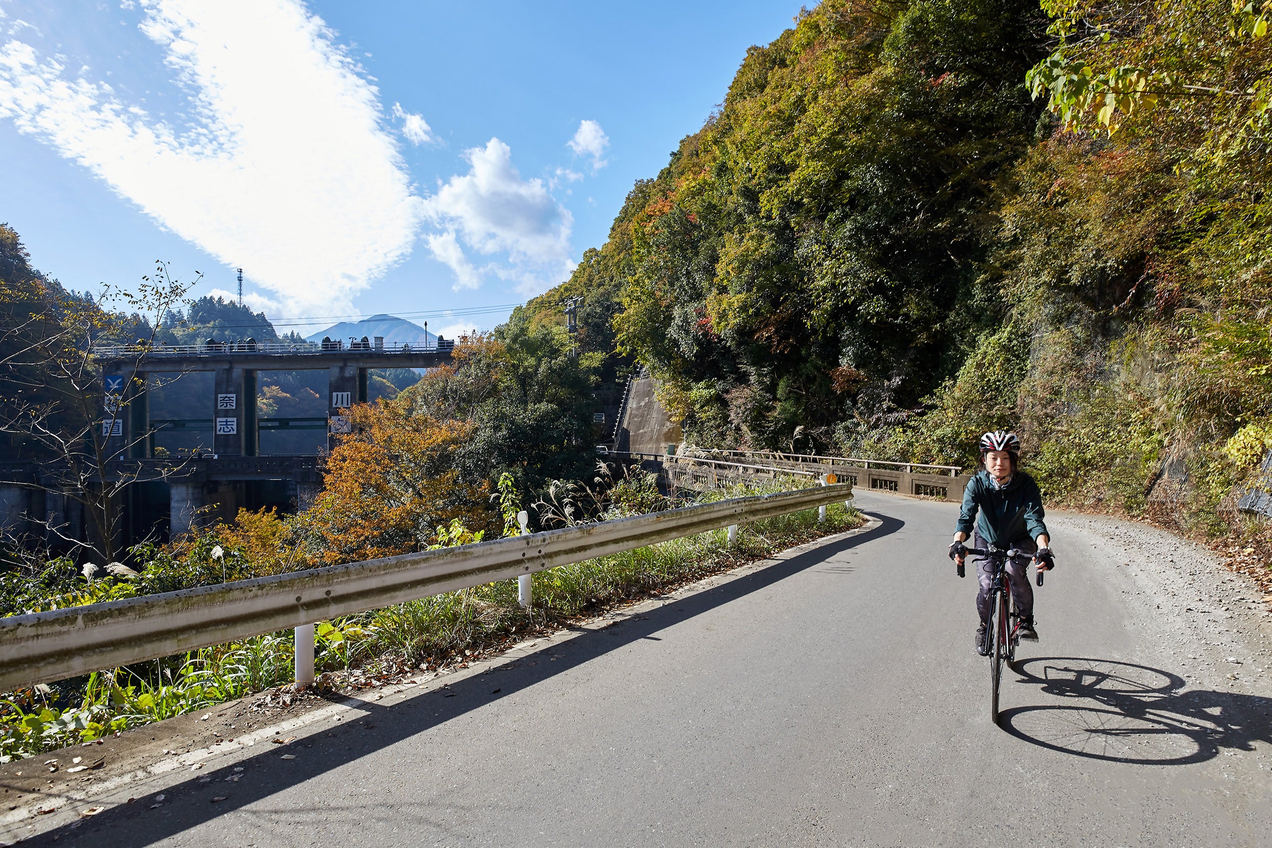 実際のコースを走る様子