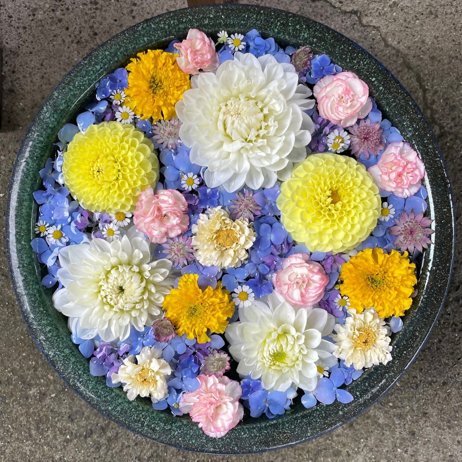 「花手水」×あじさいのコラボレーション