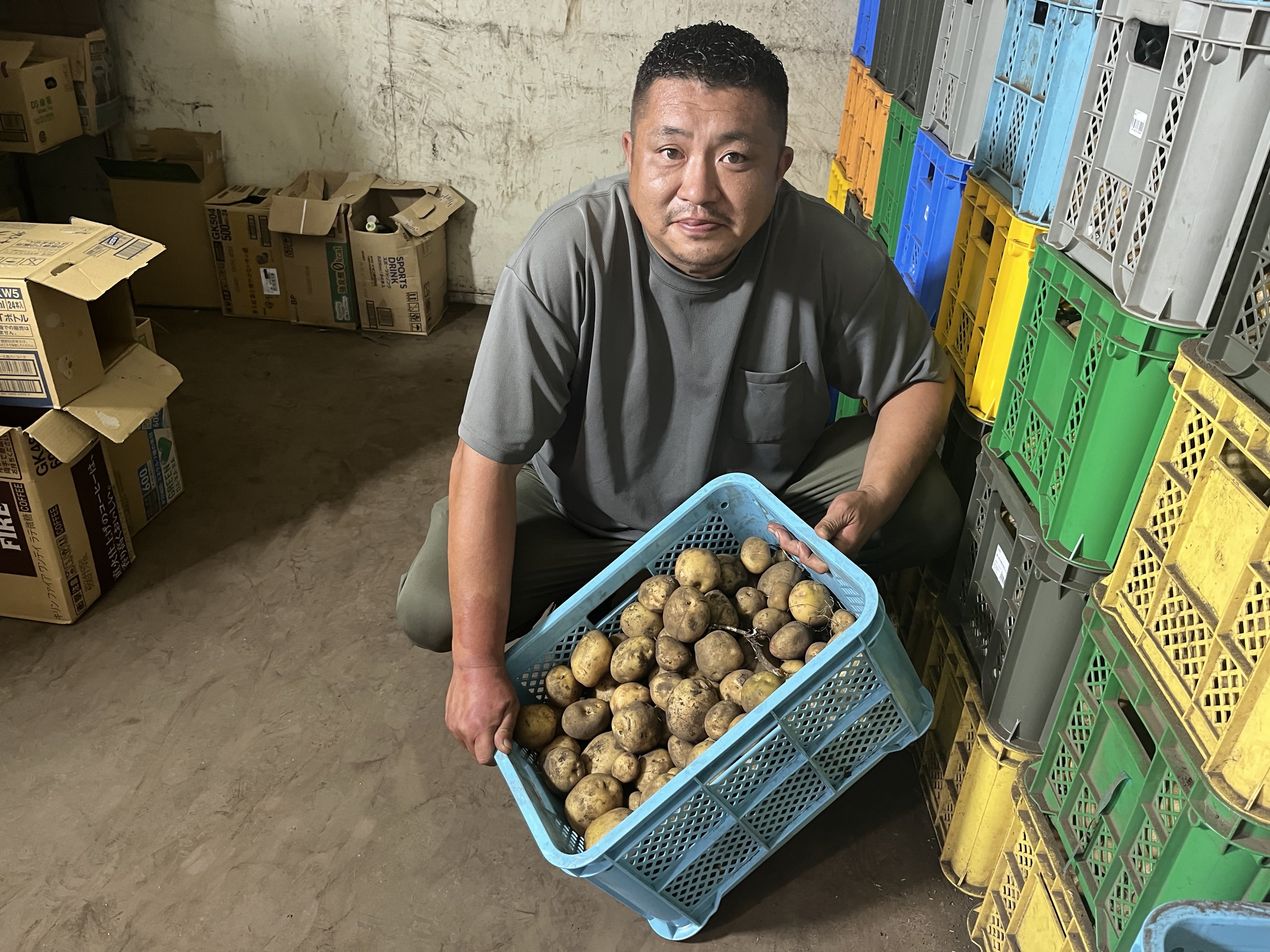 収穫された良質のじゃがいも