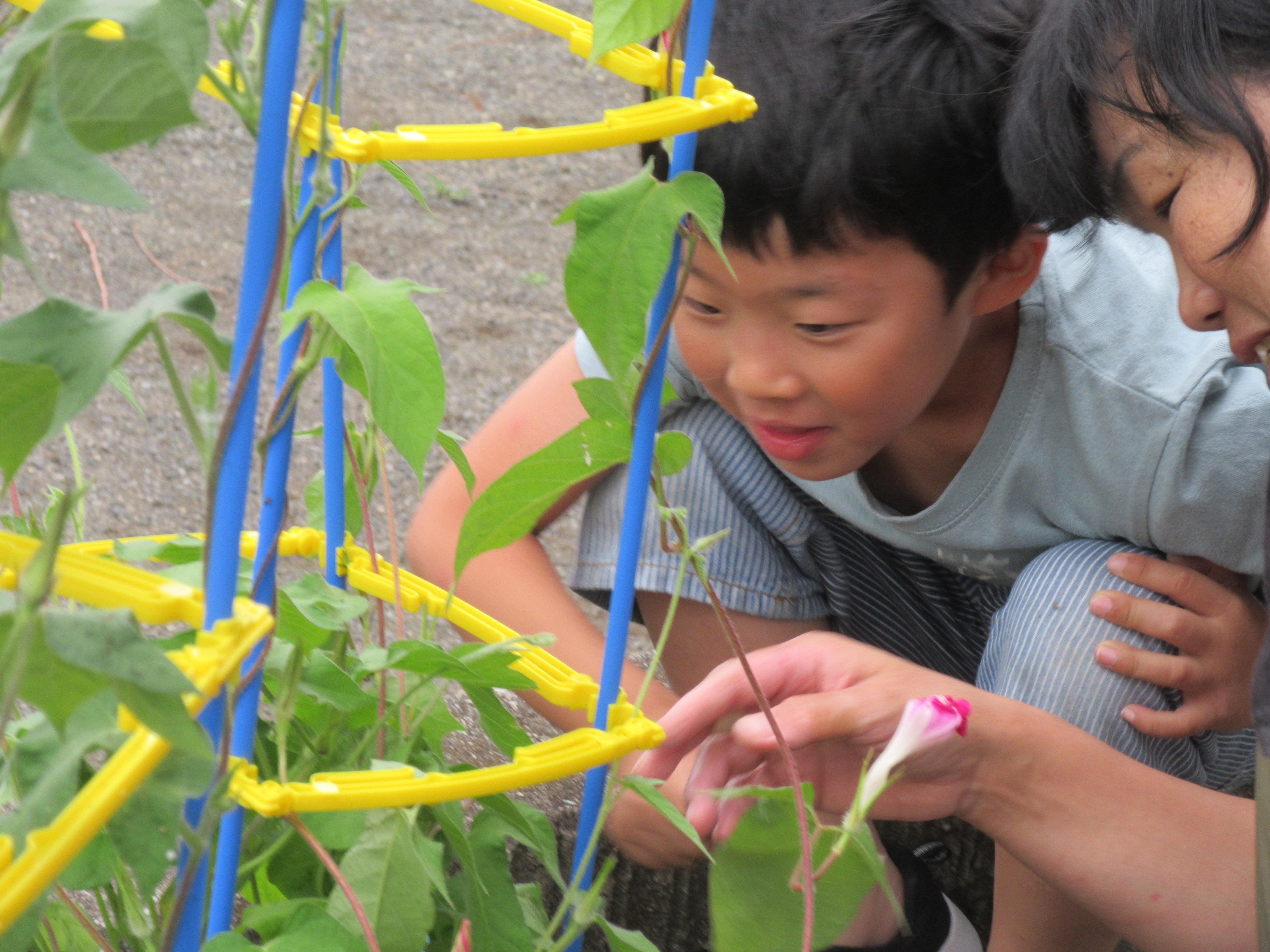 参加してみて気づく発見や感動があります