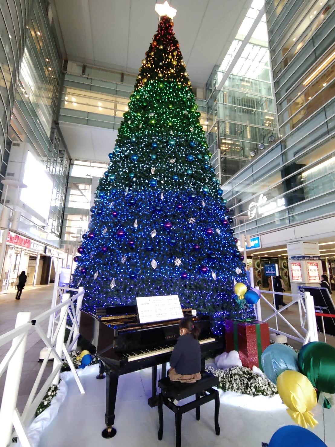 壮大なツリーとグランドピアノが冬を彩ります