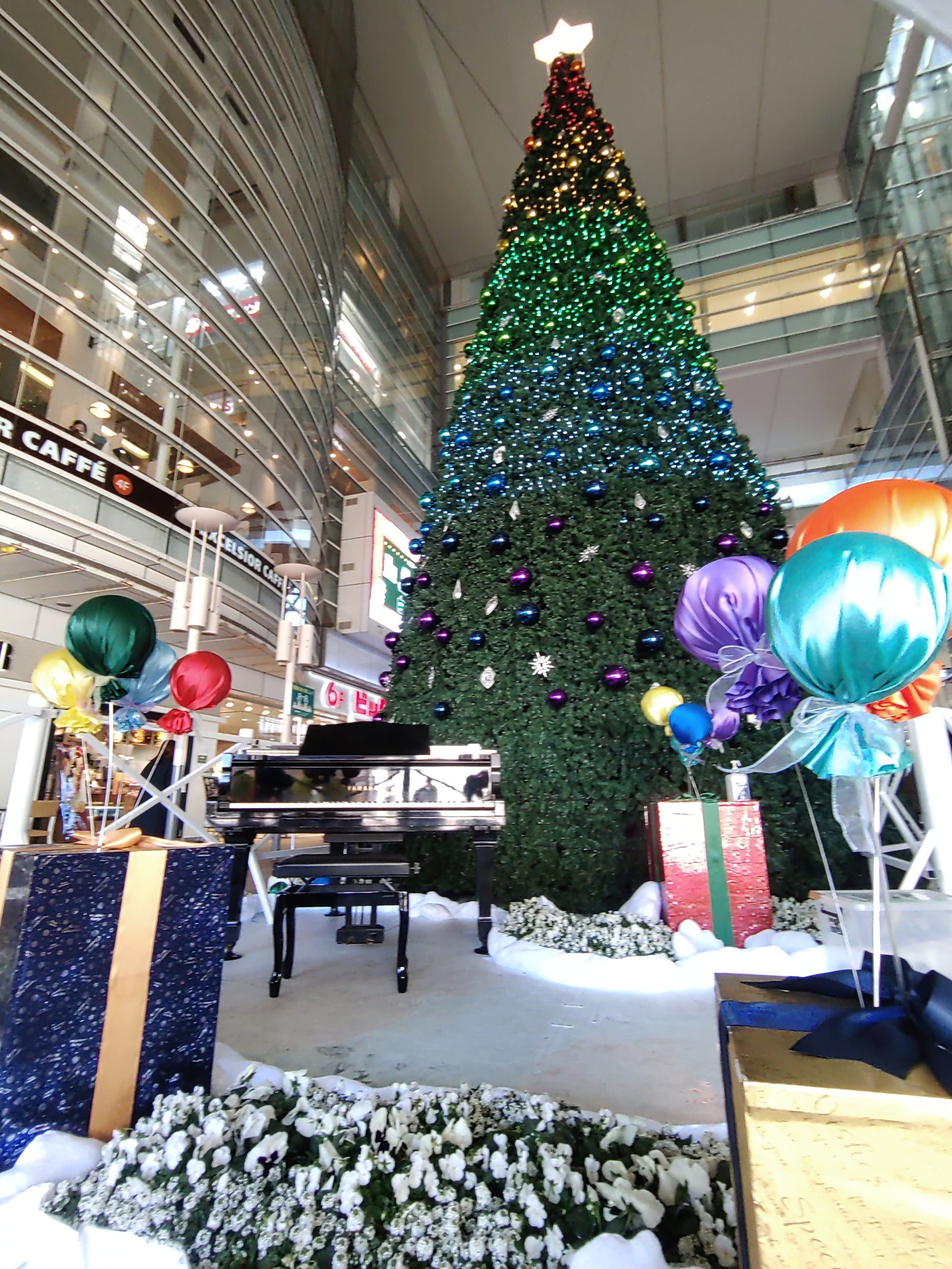 昨年度実施の様子