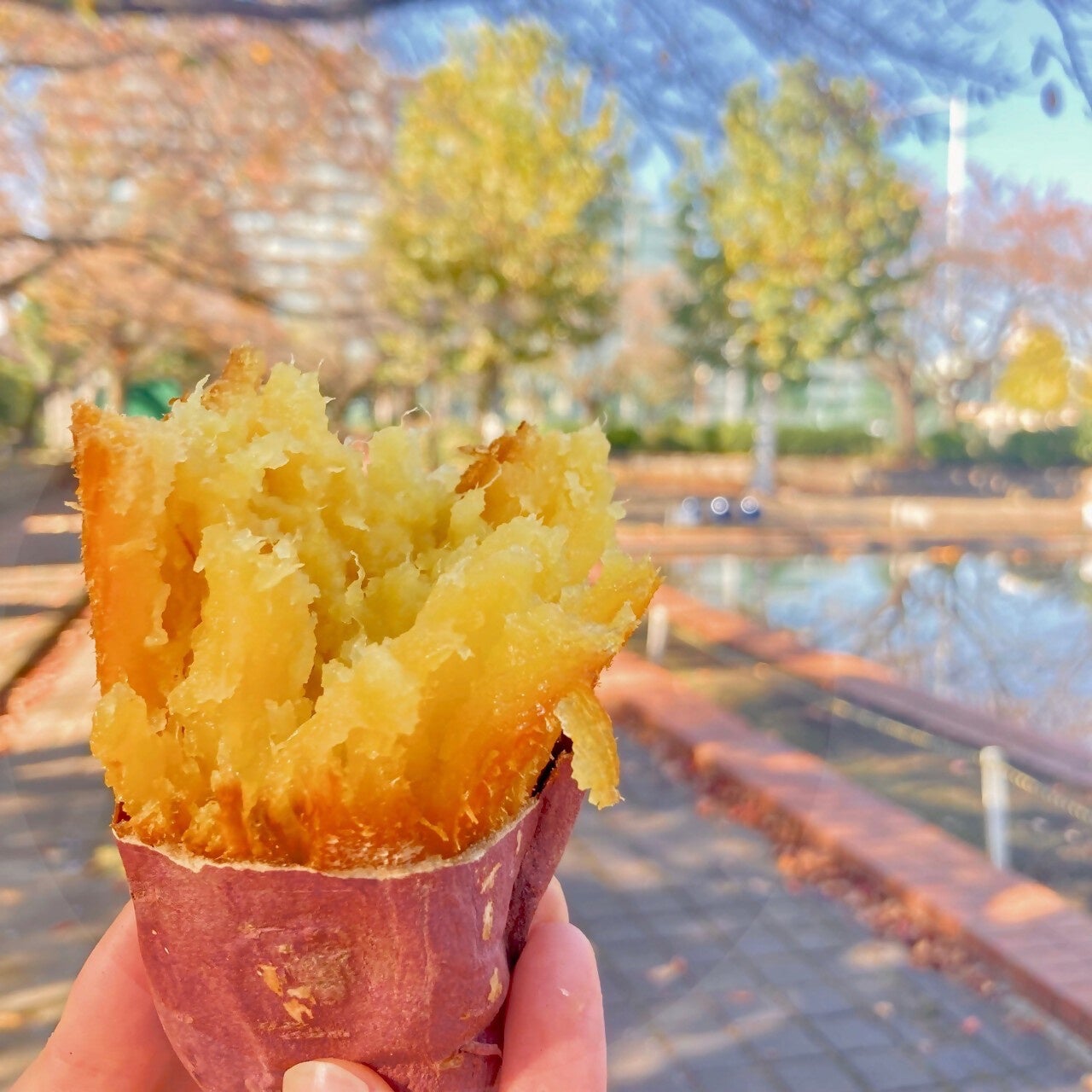 ホカホカの焼き芋を食べるひととき　気持ちはキラキラ！