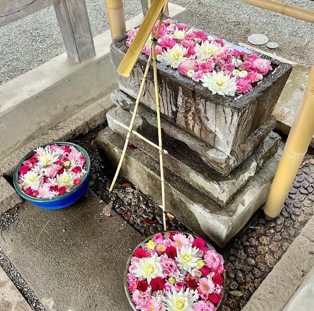 氷川神社での実施