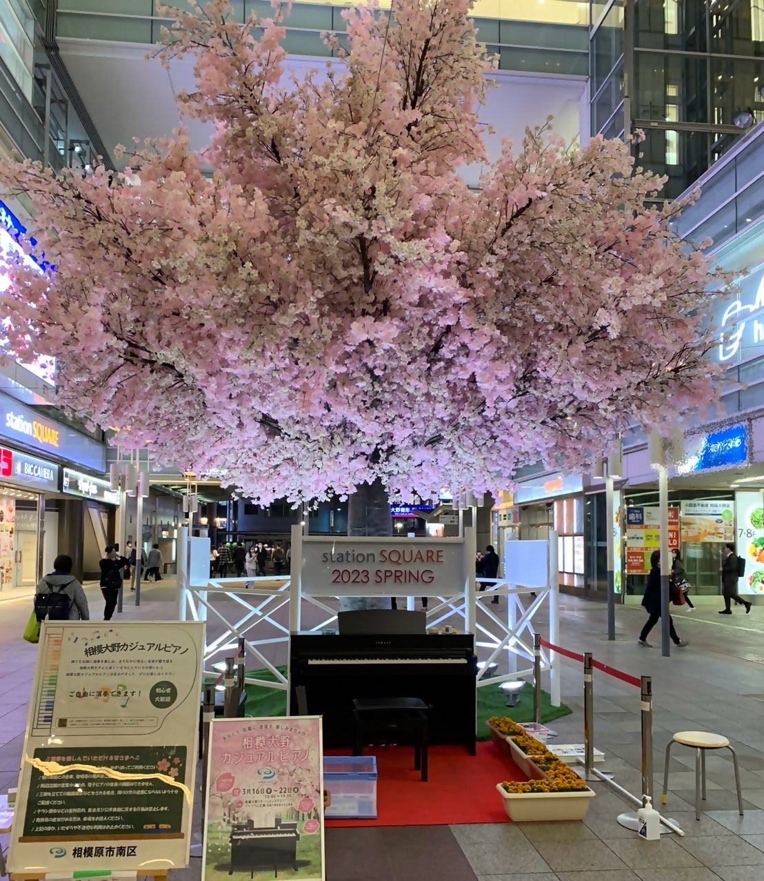 昨年開催時の会場