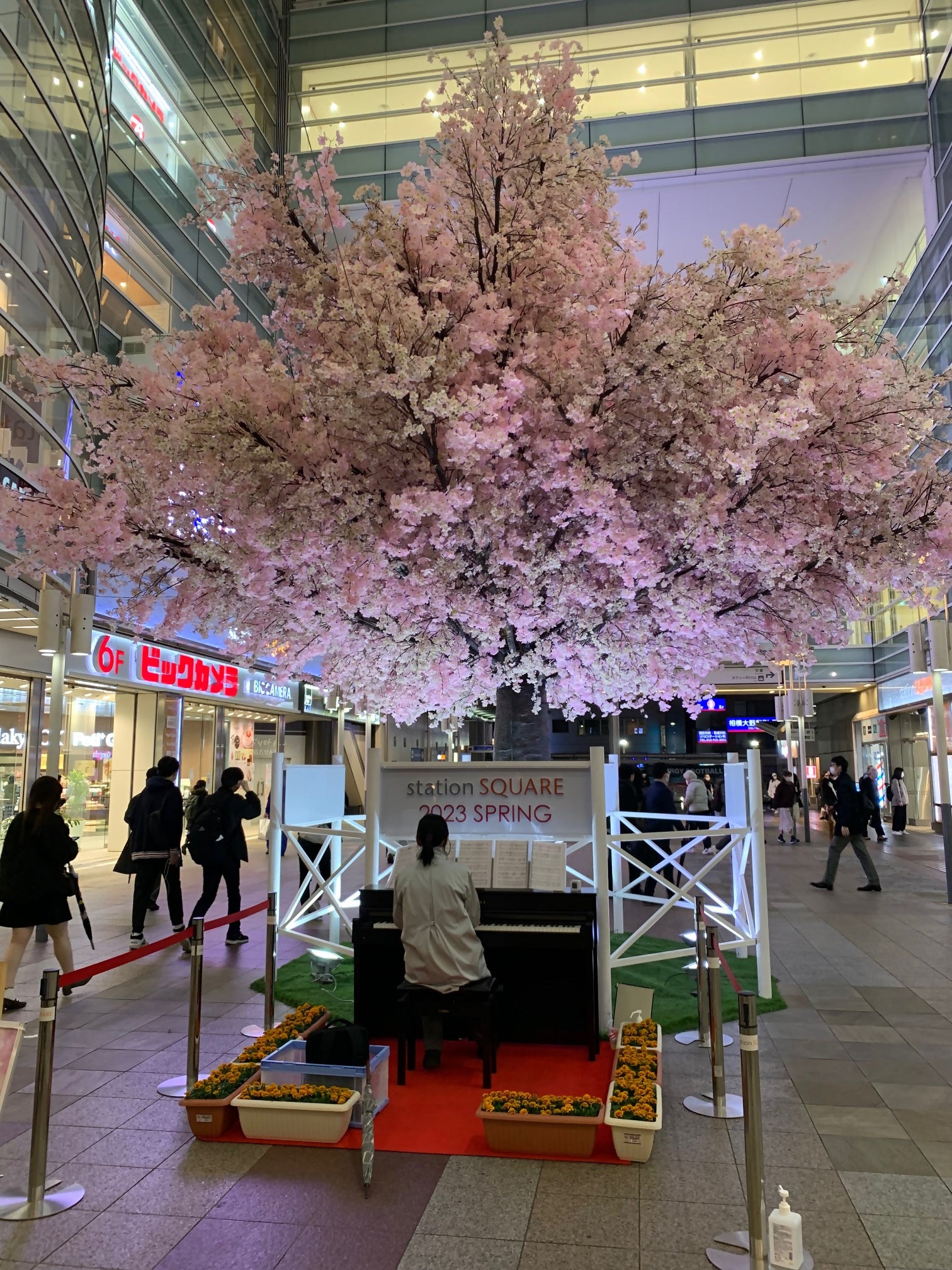 昨年参加者の演奏の様子