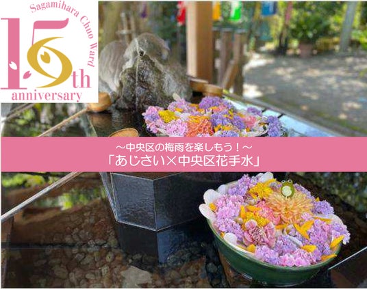 【相模原市】『あじさい×中央区花手水』を実施します! 【相模原市】『あじさい×中央区花手水』を実施します!