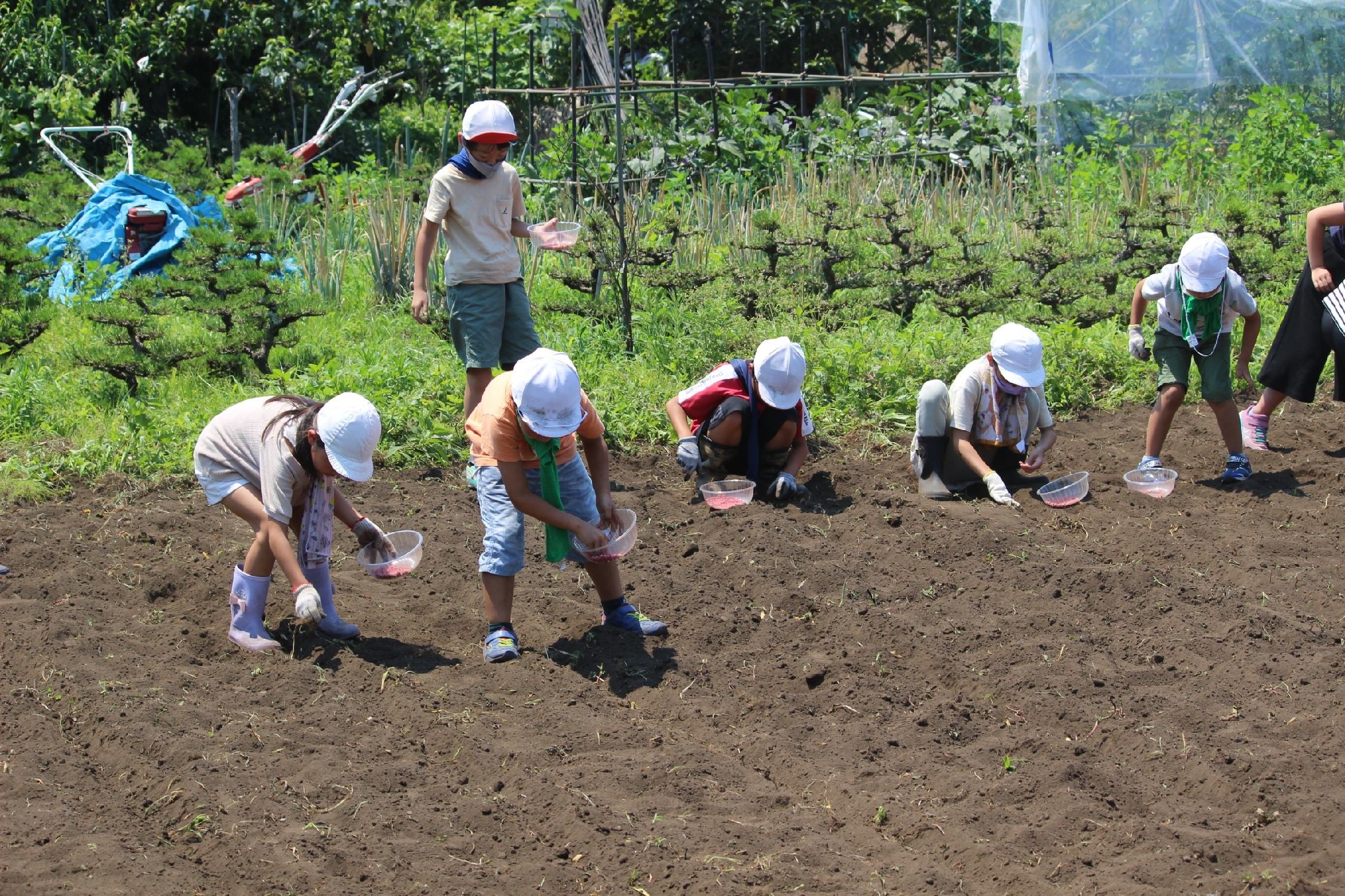 一心に種をまく生徒たち　根小屋小