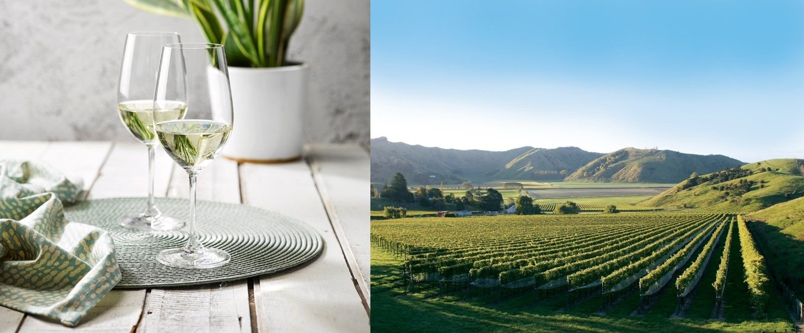 © New Zealand Winegrowers. Inc., Villa Maria