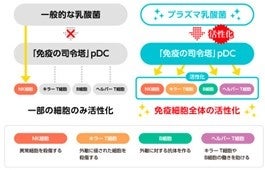 「プラズマ乳酸菌が健康な人の 免疫機能の維持をサポートするメカニズム」