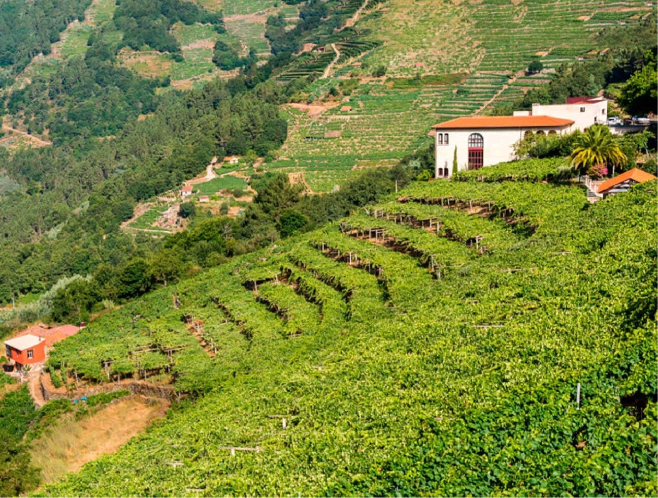 　　　　「ペニンシュラ」