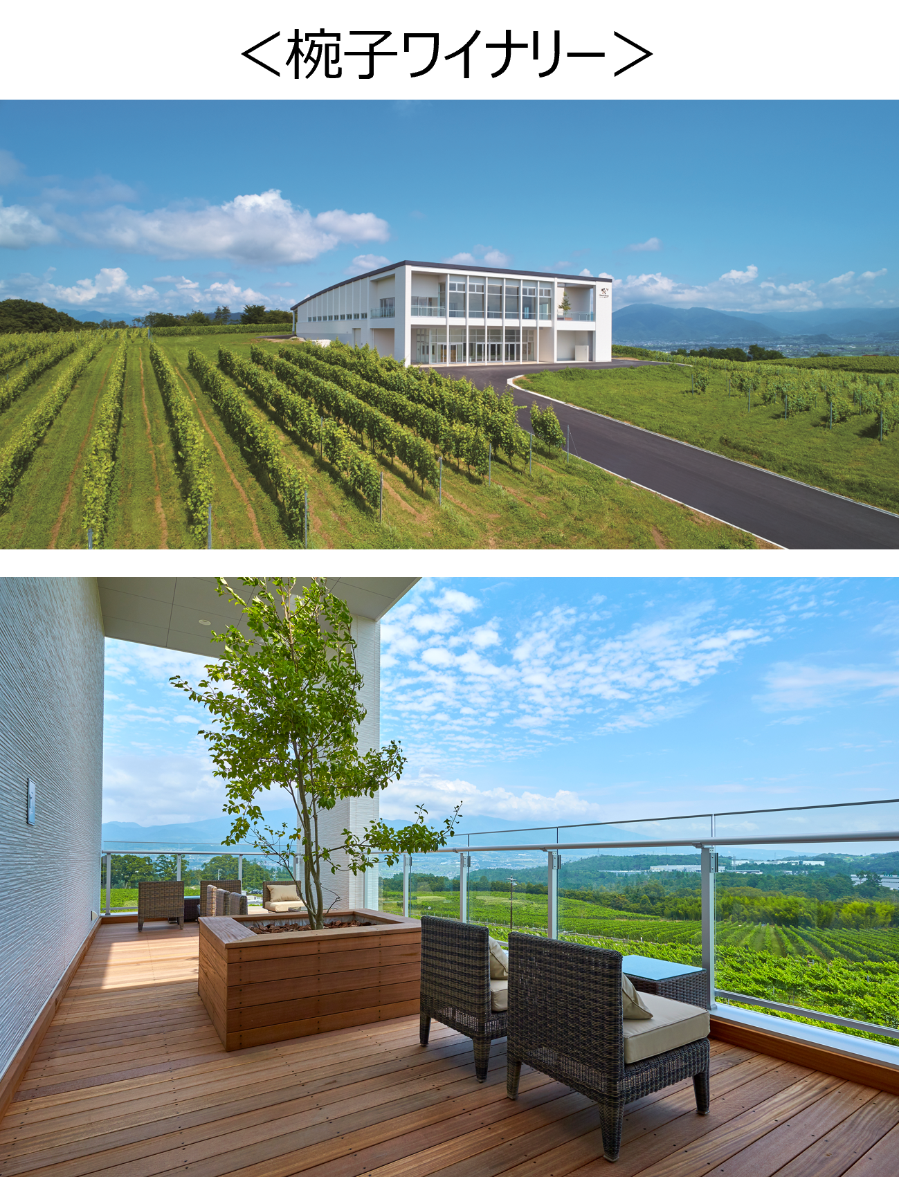 シャトー・メルシャン　椀子(マリコ）ワイナリー　勝沼ワイナリー　白3本　飲み比べセット　まりこ　甲州 椀子シラー｜商品ラインアップ｜シャトー・メルシャン