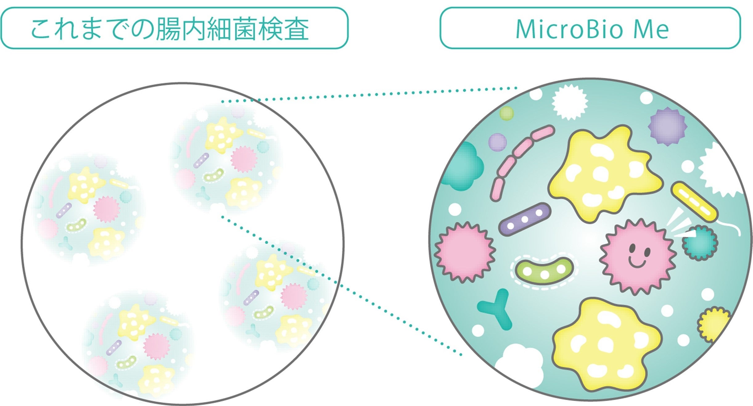 図　MicroBio Me検査イメージ
