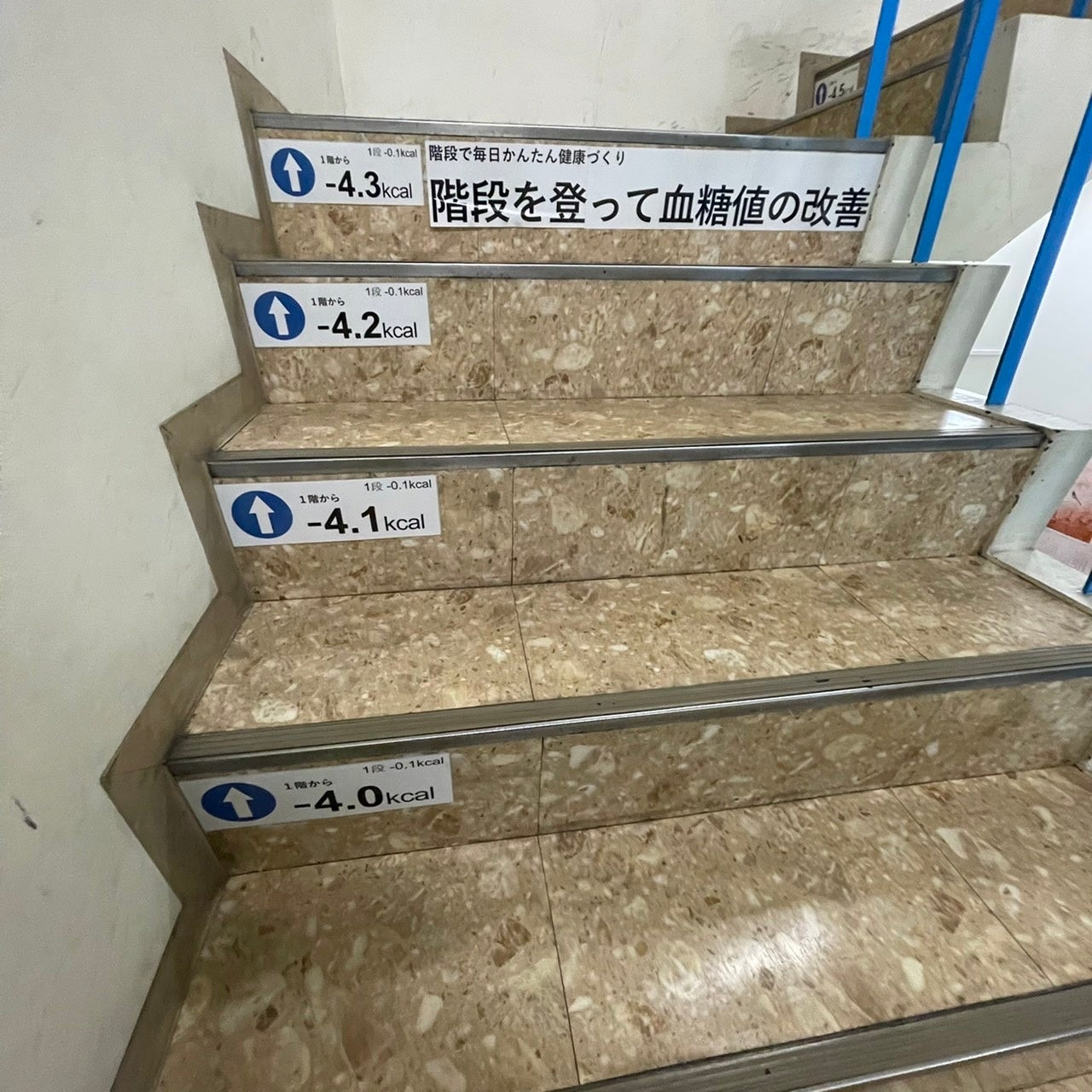 リビングライフ蒲田ビルの階段に掲示したカロリー消費の目安