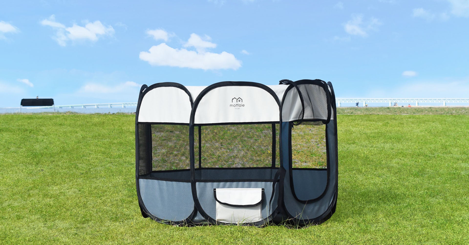 SET内容：本体のみ