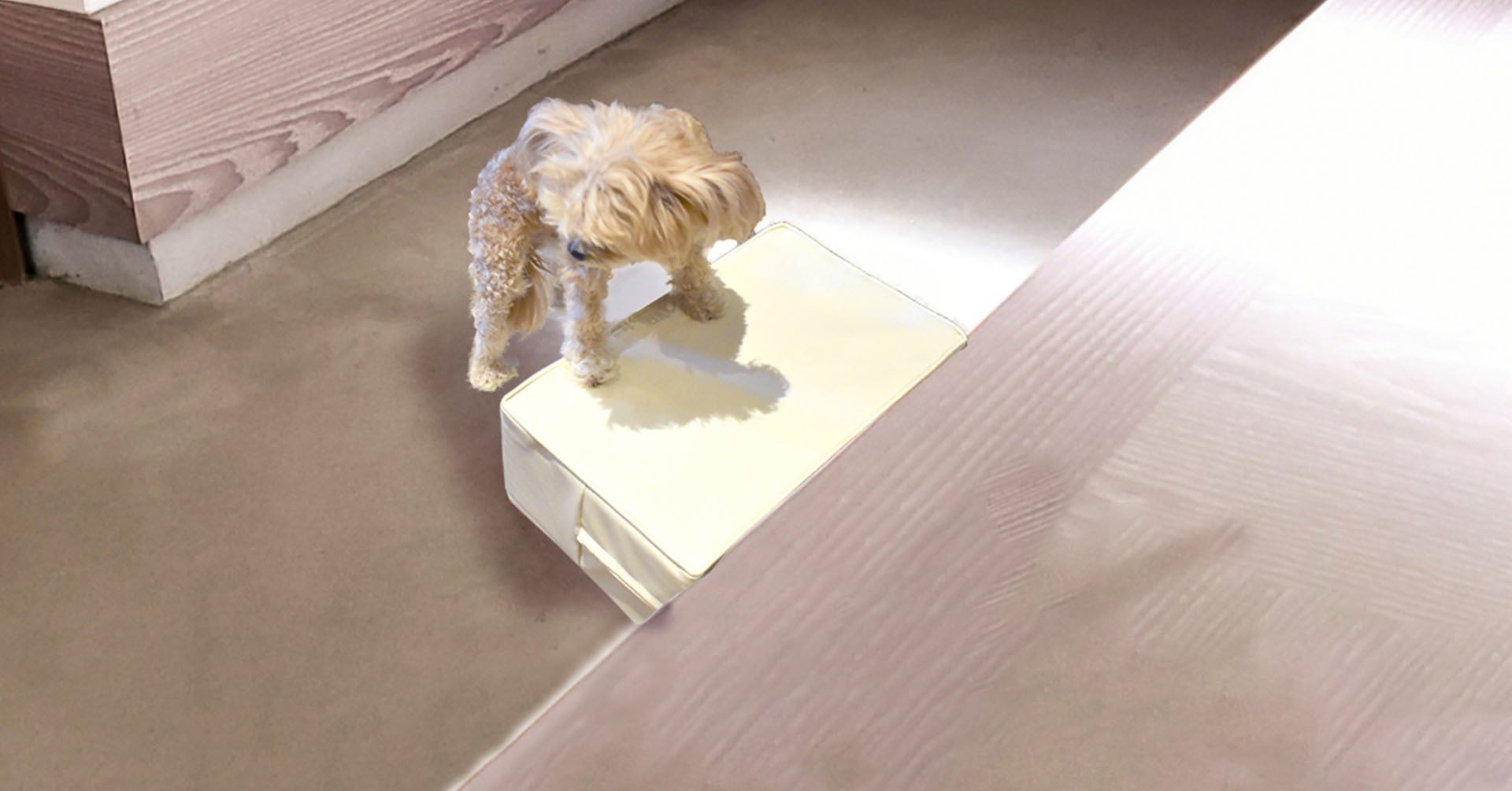 ペットステップ上段を、玄関などの段差で使用した例