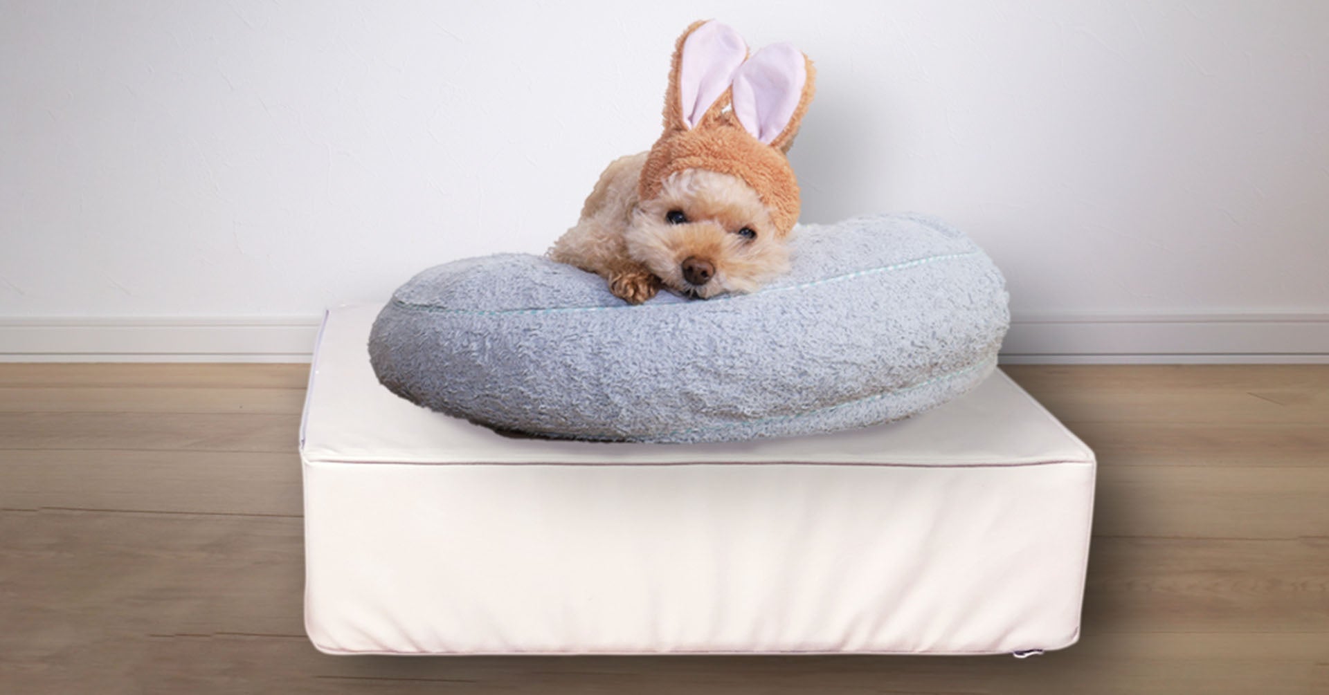 ペットステップ下段を、ベッド台として使用した例