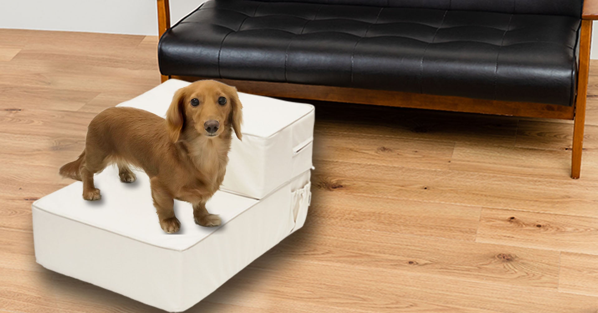 体長が長いダックスも安心して昇り降りが可能