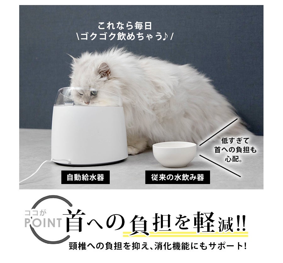 ワンちゃんネコちゃんの健康の為に 僕らの為の美味しい水 自動給水器uv除菌タイプ誕生 ライフオンプロダクツ株式会社のプレスリリース ワンちゃんネコちゃんの健康の為に 僕らの為の美味しい水 自動給水器uv除菌タイプ誕生 ライフオンプロダクツ株式会社のプレスリリース