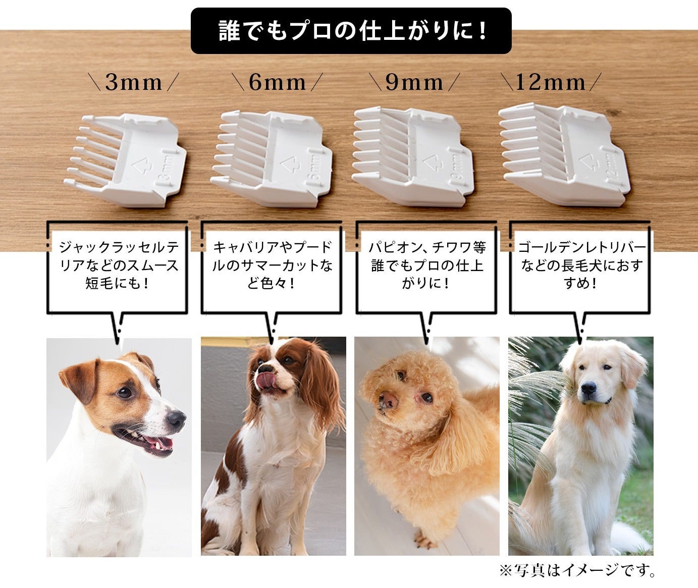 僕らの為のペットサロン わんちゃんねこちゃん用ペットバリカンをmottole For Pet モットル フォー ペット より発売 ライフオンプロダクツ株式会社のプレスリリース 僕らの為のペットサロン わんちゃんねこちゃん用ペットバリカンをmottole For Pet モットル フォー ペット より発売 ライフオンプロダクツ株式会社のプレスリリース