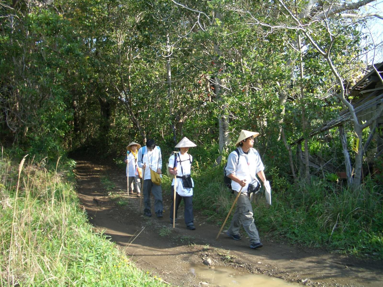 森の中を歩くひきこもり遍路