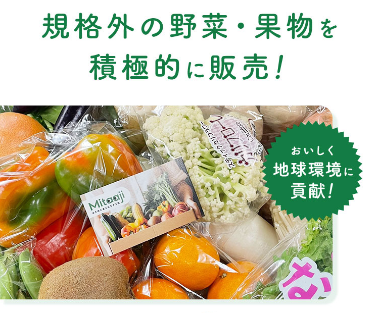 野菜 10品目野菜サラダ アークスオンラインショップ Arcs Online Shop