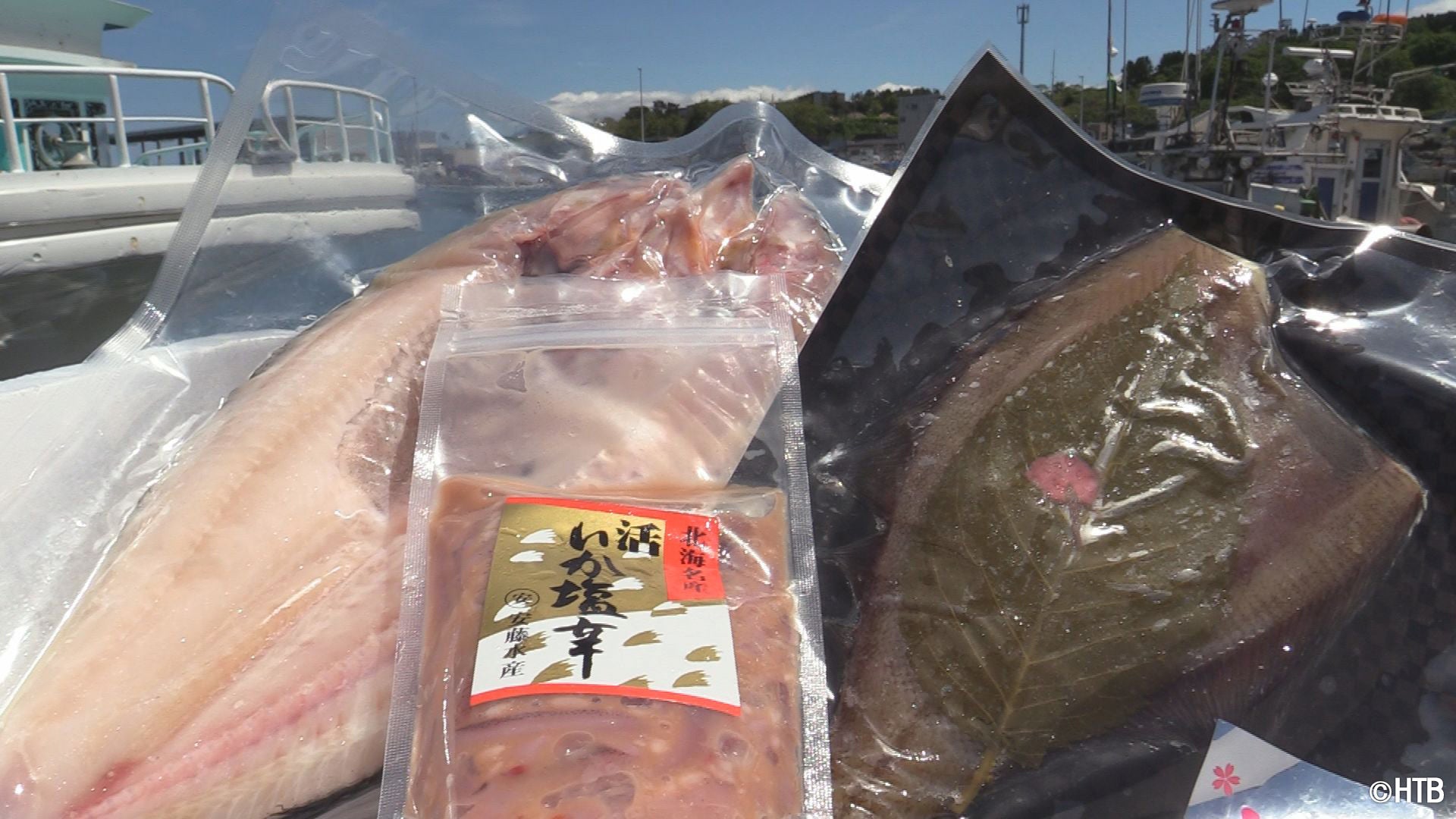 噴火湾鮮魚卸龍神丸(C)HTB