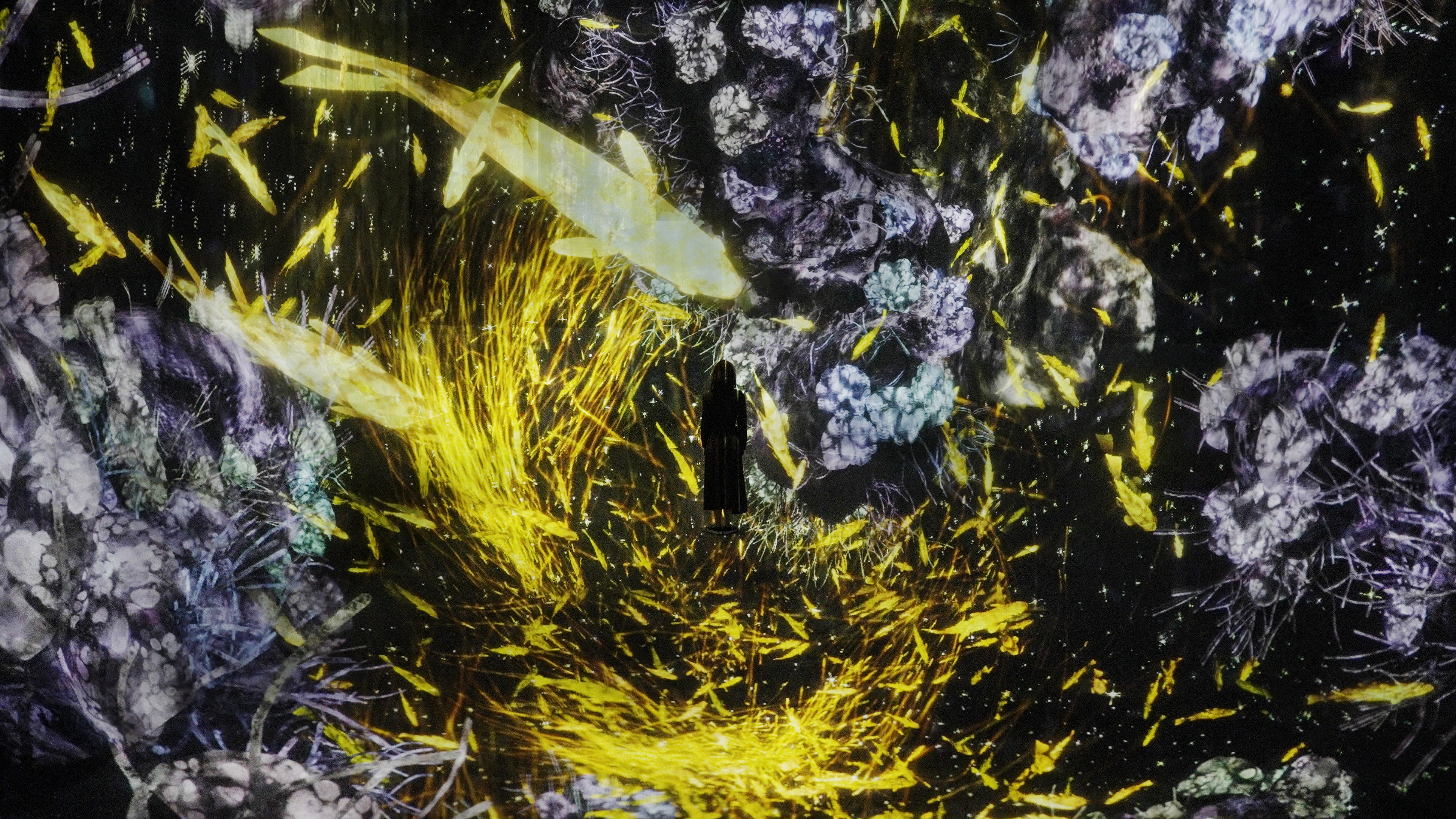 チームラボ《The Way of the Sea：虚空の宇宙》© チームラボ　※参考画像