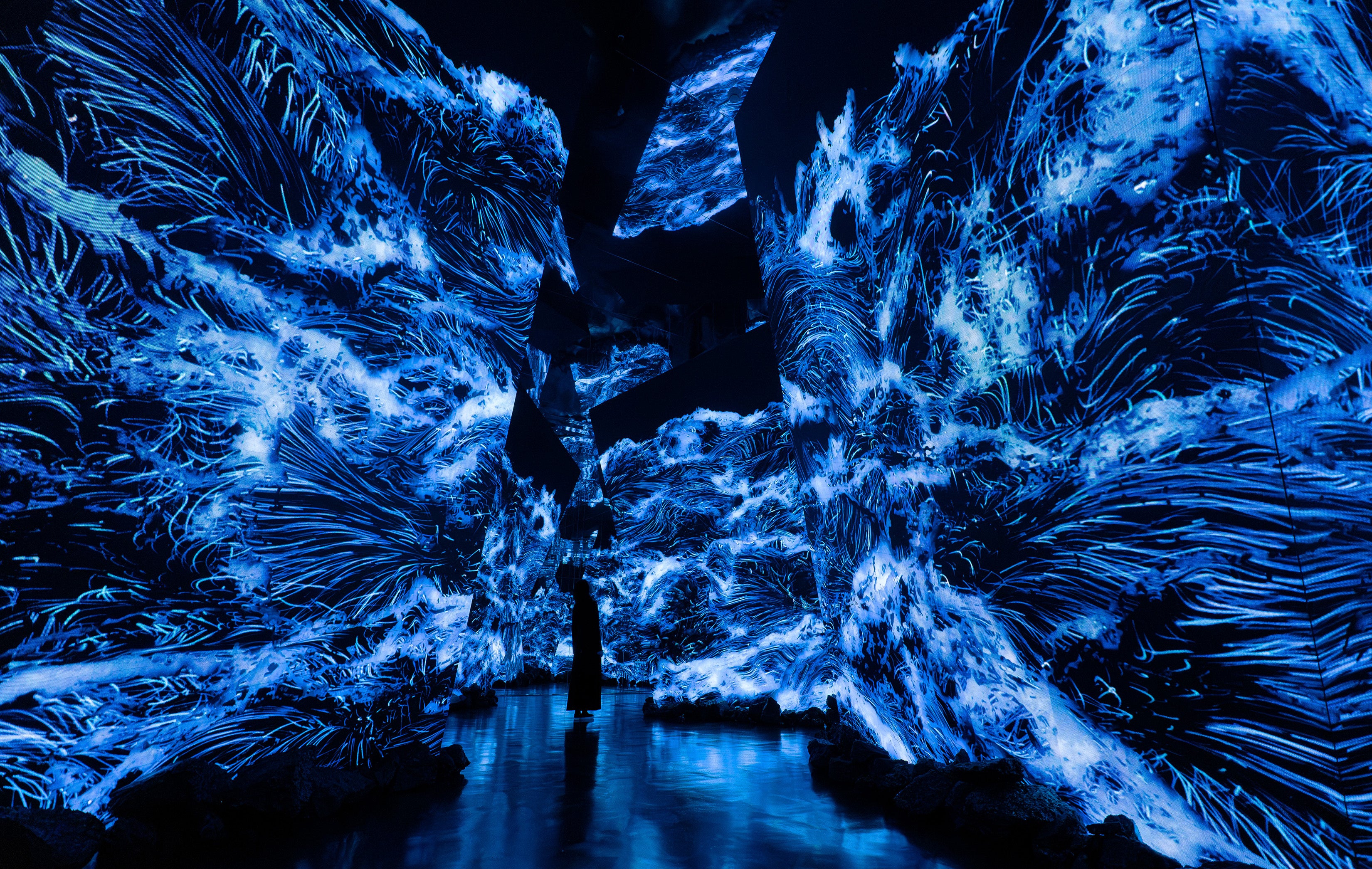 チームラボ《Untitled》 © teamLab