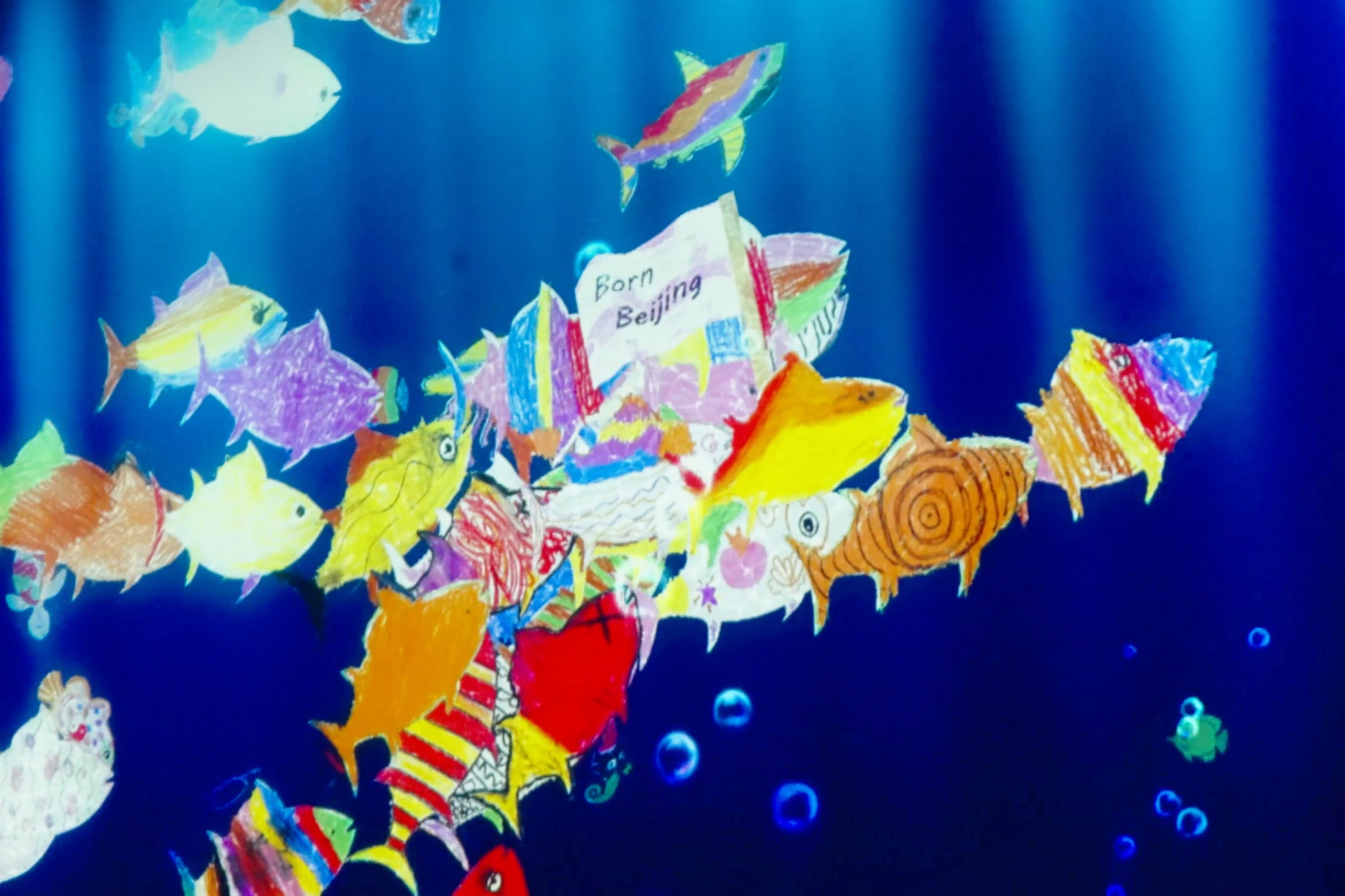 “Born Beijing” - teamLab Massless Beijing(北京)で絵が描かれたマグロが、チームラボボーダレス(麻布台ヒルズ)に泳いで来ています。チームラボ《スケッチオーシャン》©︎ チームラボ